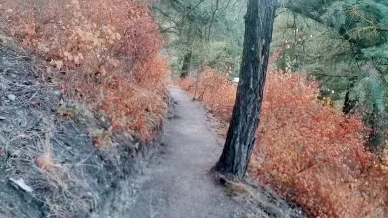 Twickenham Park - Spokane, WA