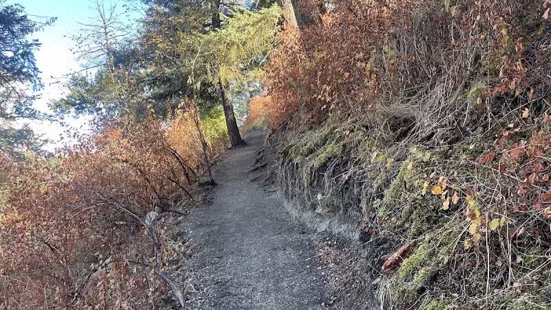 Twickenham Park - Spokane, WA