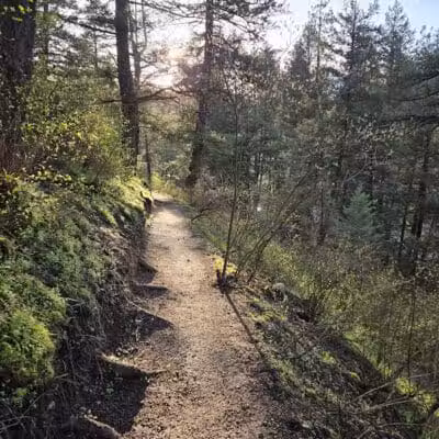 Twickenham Park - Spokane, WA