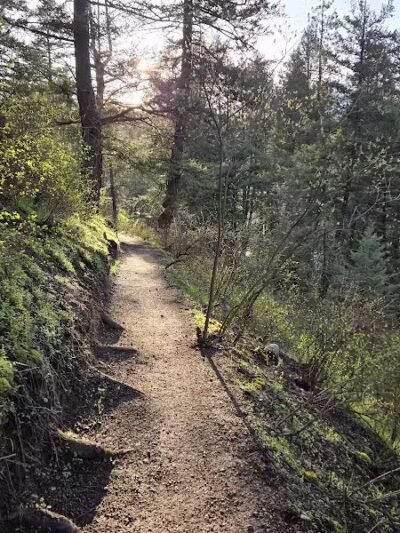 Twickenham Park - Spokane, WA