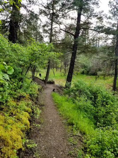 Twickenham Park - Spokane, WA