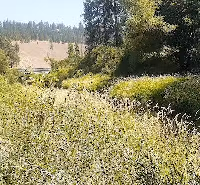Wentel Grant Park - Spokane, WA
