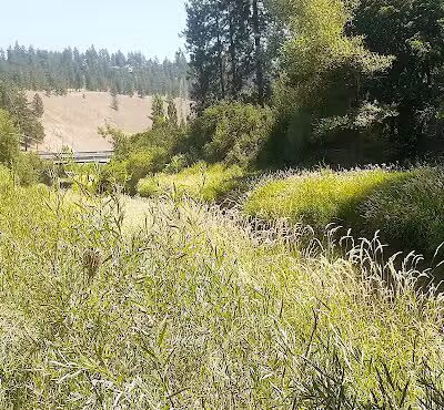 Wentel Grant Park - Spokane, WA