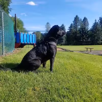 Wentel Grant Park - Spokane, WA