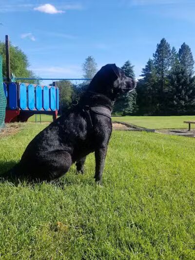 Wentel Grant Park - Spokane, WA