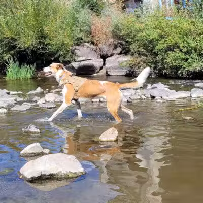 Wentel Grant Park - Spokane, WA