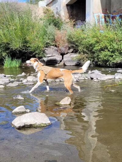 Wentel Grant Park - Spokane, WA