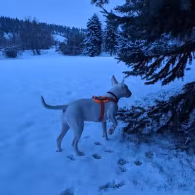 Wentel Grant Park - Spokane, WA