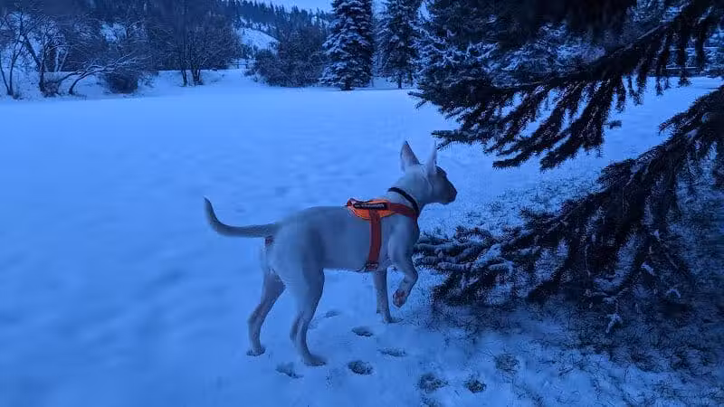 Wentel Grant Park - Spokane, WA
