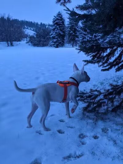 Wentel Grant Park - Spokane, WA