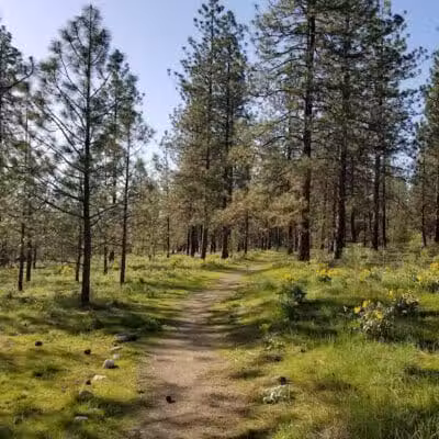 Wyakin Park - Spokane, WA