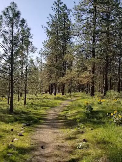 Wyakin Park - Spokane, WA