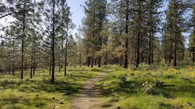 Wyakin Park - Spokane, WA