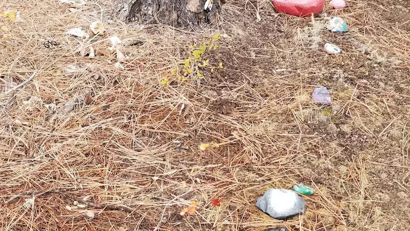 Wyakin Park - Spokane, WA