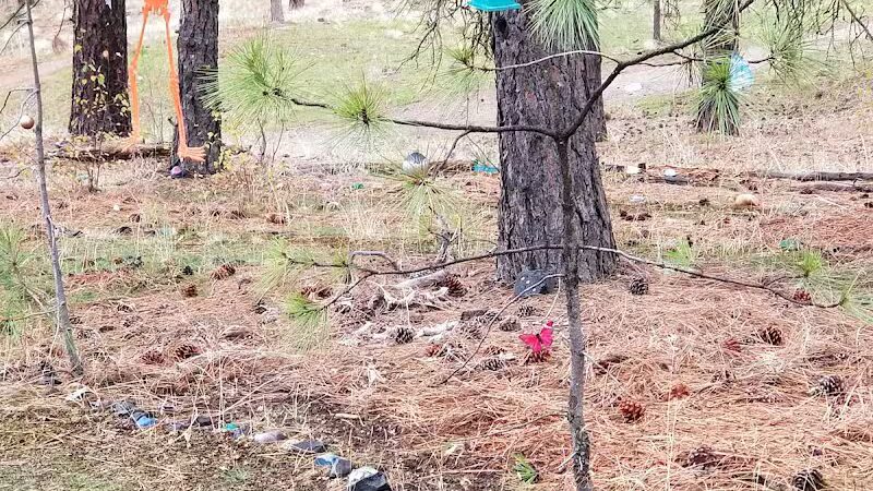 Wyakin Park - Spokane, WA