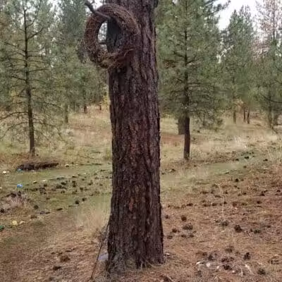Wyakin Park - Spokane, WA