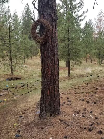 Wyakin Park - Spokane, WA