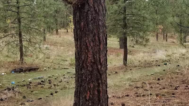 Wyakin Park - Spokane, WA