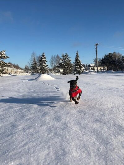 Spooner Dog Park - Spooner, WI