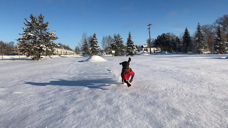 Spooner Dog Park - Spooner, WI