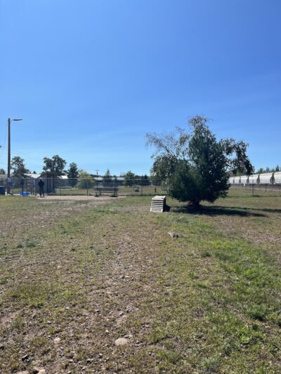 Spooner Dog Park - Spooner, WI