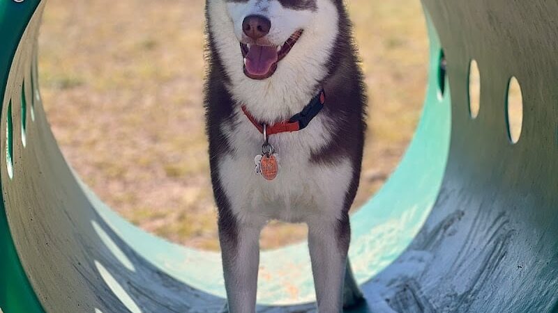 Spooner Dog Park - Spooner, WI