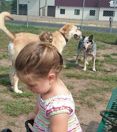 Spooner Dog Park - Spooner, WI