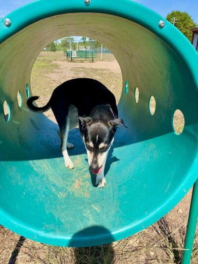 Spooner Dog Park - Spooner, WI
