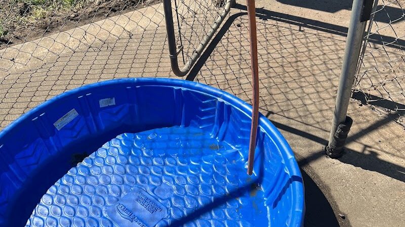 Spooner Dog Park - Spooner, WI