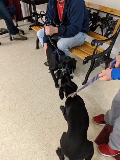 Ayres Memorial Animal Shelter - Sprakers, NY