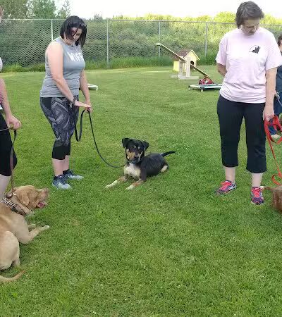 Ayres Memorial Animal Shelter - Sprakers, NY