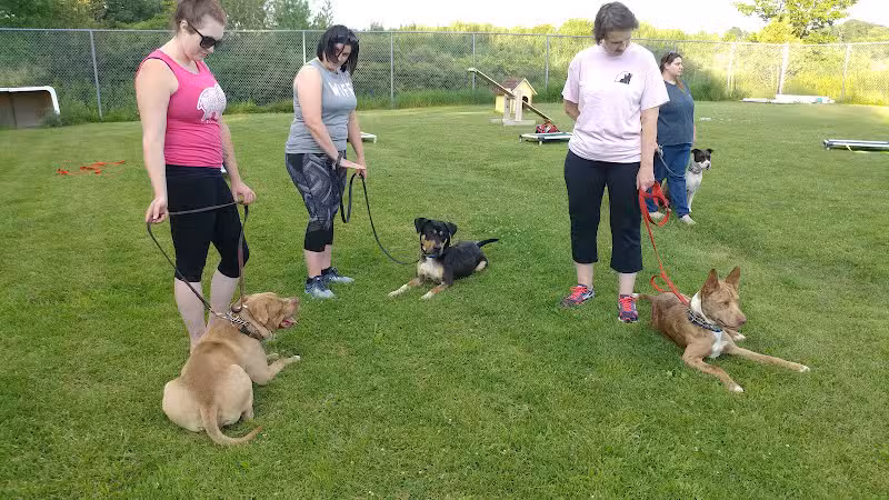 Ayres Memorial Animal Shelter - Sprakers, NY