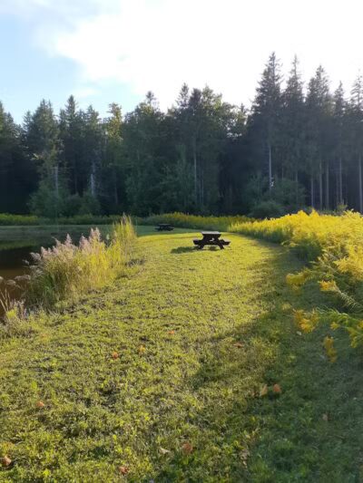 Thomas Burbine Forest Natural Trail - Sprakers, NY