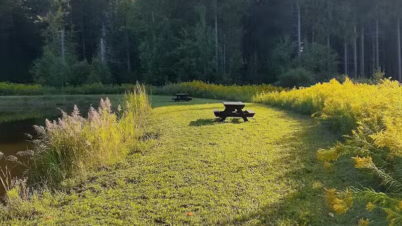 Thomas Burbine Forest Natural Trail - Sprakers, NY