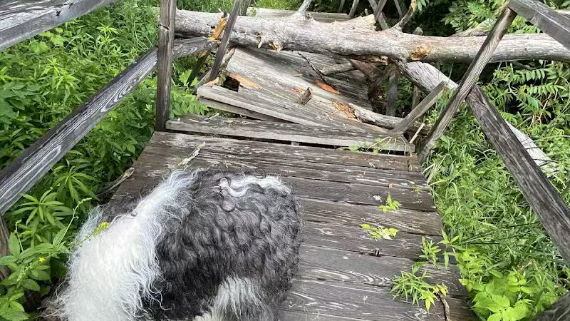 Thomas Burbine Forest Natural Trail - Sprakers, NY