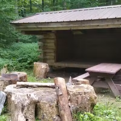 Thomas Burbine Forest Natural Trail - Sprakers, NY