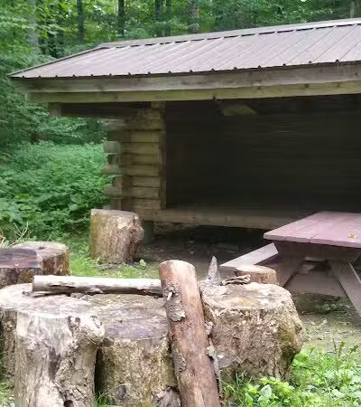 Thomas Burbine Forest Natural Trail - Sprakers, NY