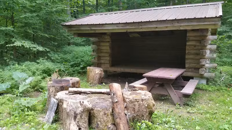 Thomas Burbine Forest Natural Trail - Sprakers, NY