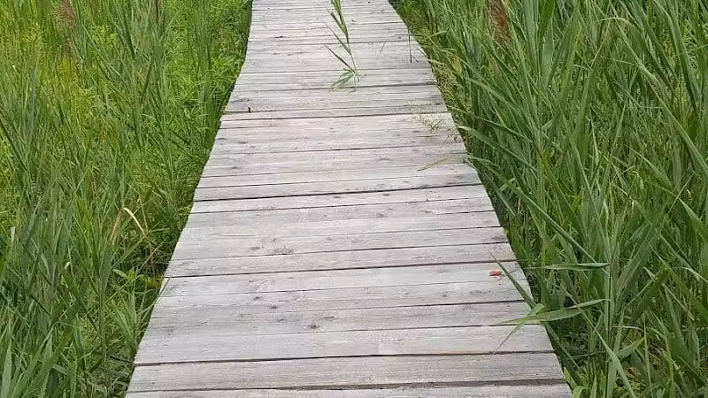 Thomas Burbine Forest Natural Trail - Sprakers, NY