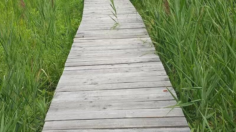 Thomas Burbine Forest Natural Trail - Sprakers, NY