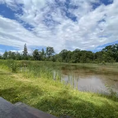 Thomas Burbine Forest Natural Trail - Sprakers, NY
