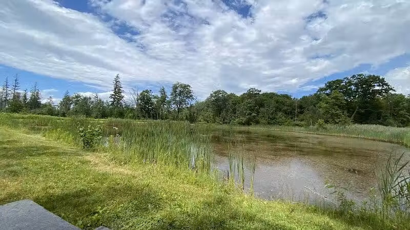 Thomas Burbine Forest Natural Trail - Sprakers, NY
