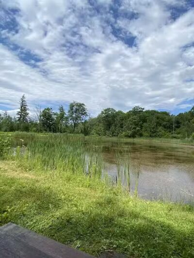 Thomas Burbine Forest Natural Trail - Sprakers, NY