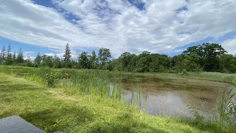 Thomas Burbine Forest Natural Trail - Sprakers, NY