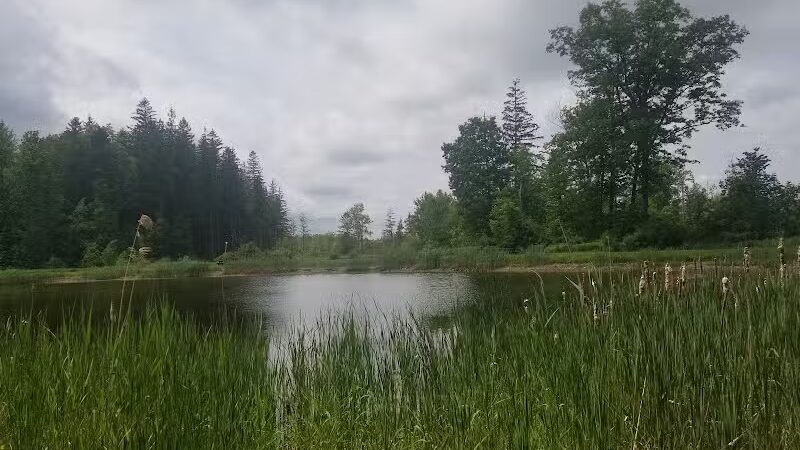 Thomas Burbine Forest Natural Trail - Sprakers, NY