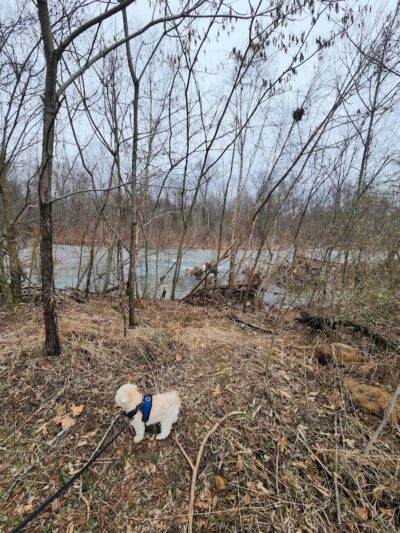 Spring City Nature Park - Spring City, TN