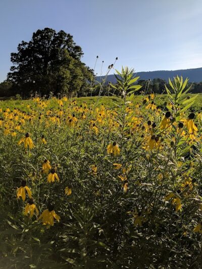 Spring City Nature Park - Spring City, TN