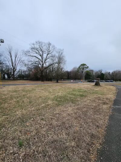 Spring City Nature Park - Spring City, TN