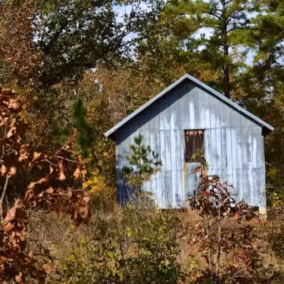 Carvers Creek State Park - Spring Lake, NC