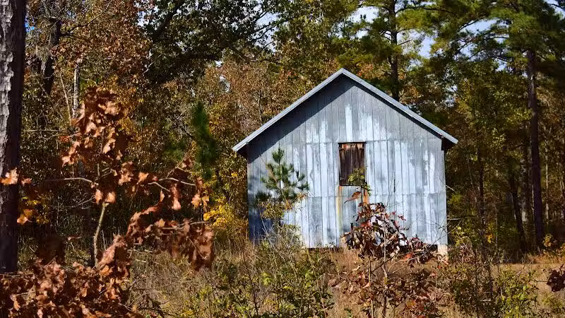 Carvers Creek State Park - Spring Lake, NC